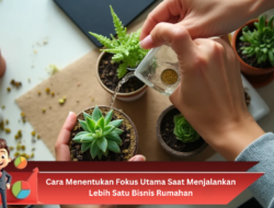 Cara Menentukan Fokus Utama Saat Menjalankan Lebih Satu Bisnis Rumahan